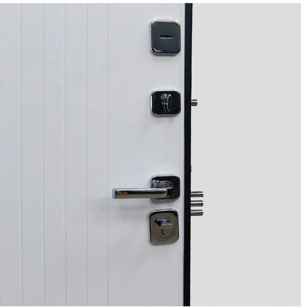 Товар Дверь Цербер SS-01 Только 96 DIS007136